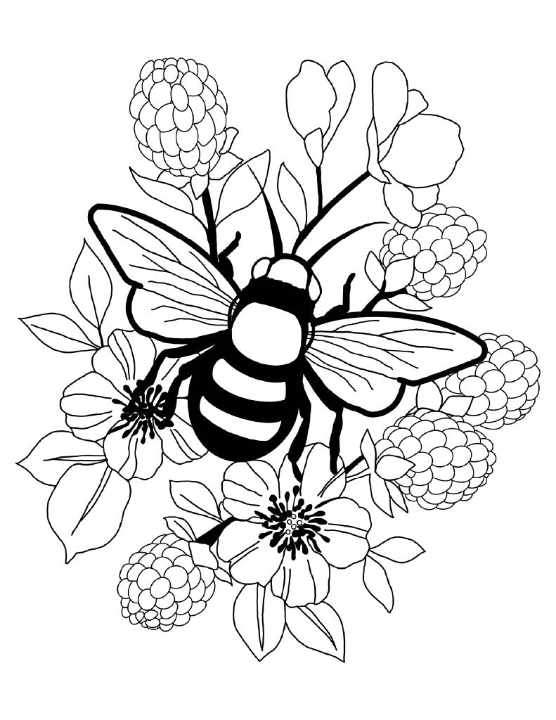 8 Hand Drawn Coloring Page Bundle of Animals & More!