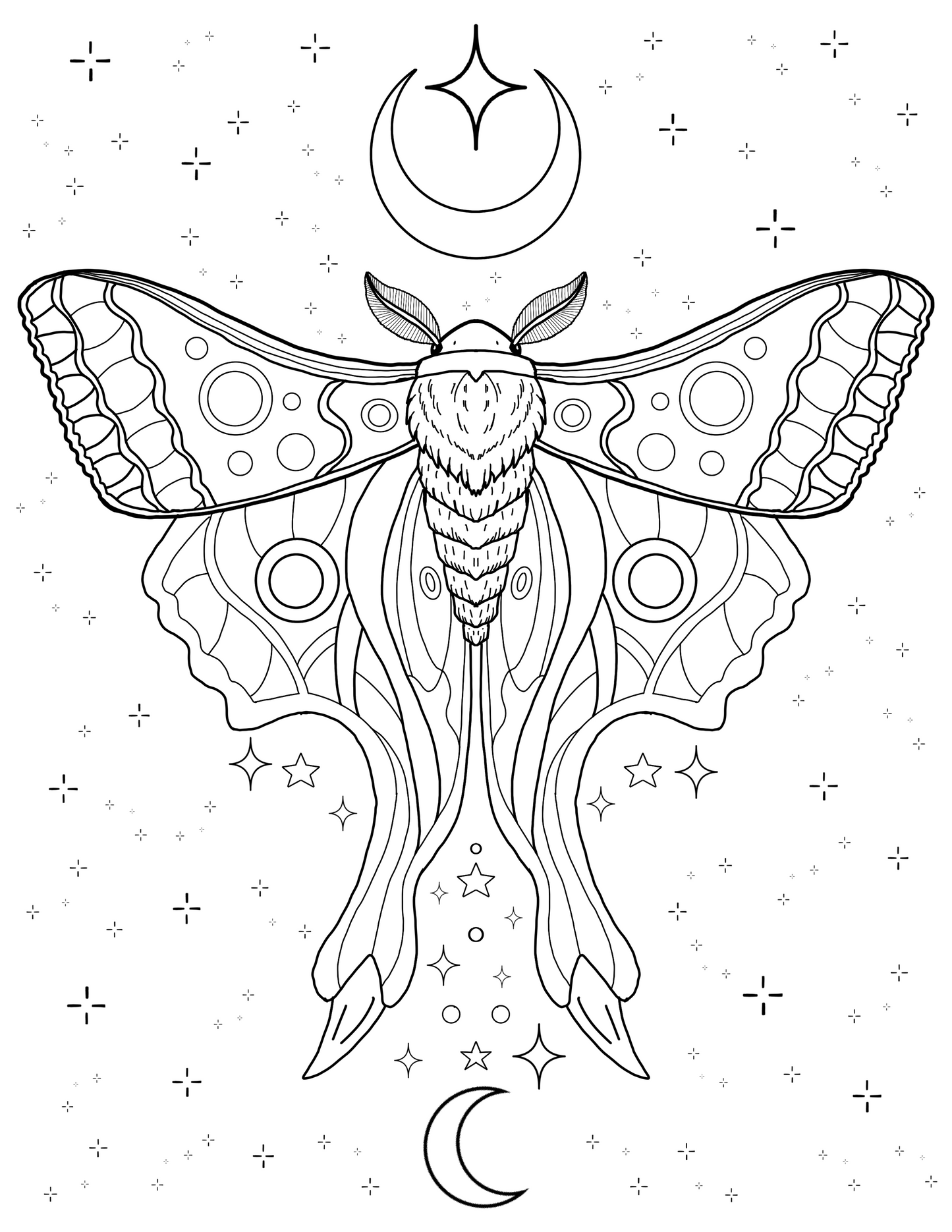 Luna Moth Coloring Page | Celestial Hand-Drawn Digital Download